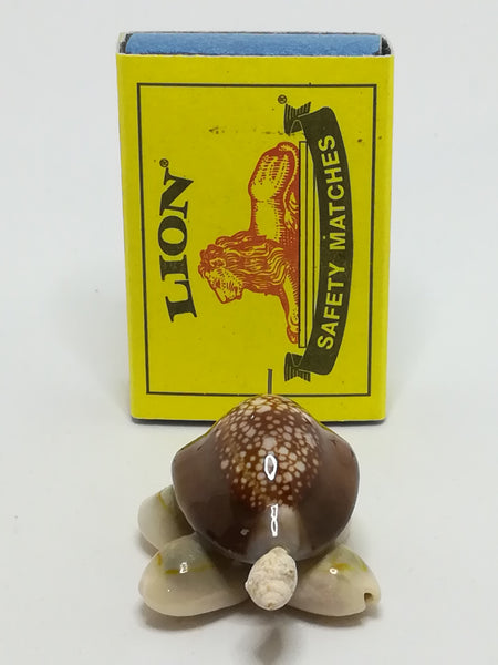 Miniature Brown & Beige Sea Shell Tortoise (Miniature, suitable for printer's tray)
