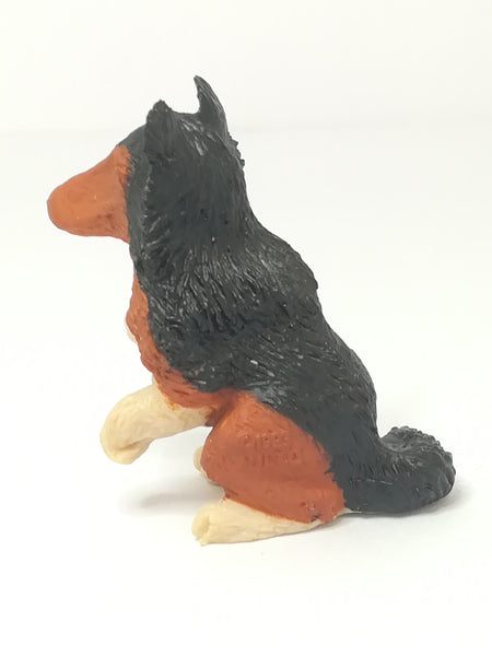 miniature dog