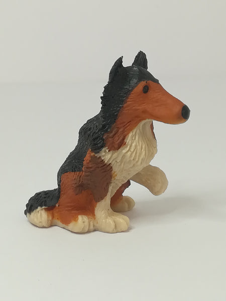 miniature dog