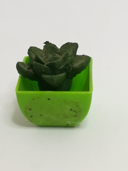 Miniature Cactus (Miniature, suitable for printer's tray)