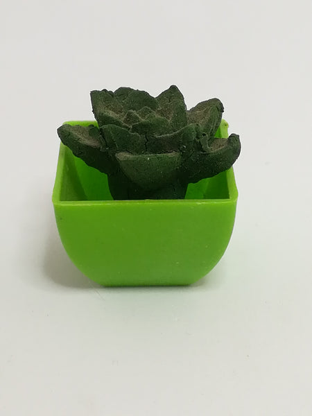 Miniature Cactus (Miniature, suitable for printer's tray)