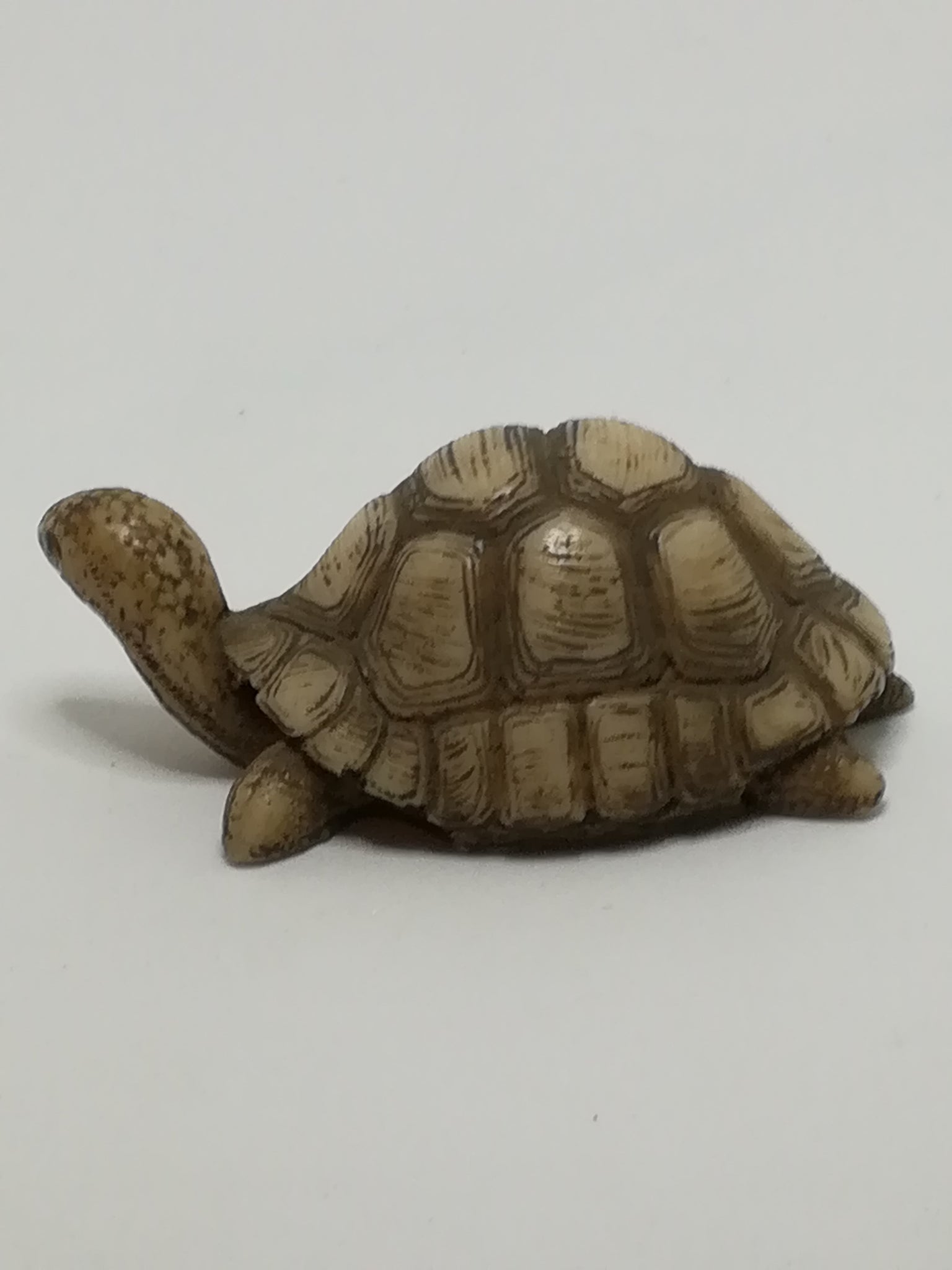 Miniature Cream & Brown Tortoise - Design 2 (Miniature, suitable for printer's tray)