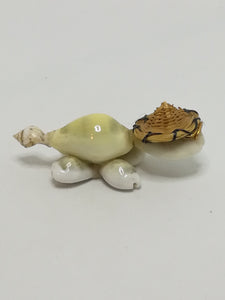 Miniature Whitish Sea Shells Tortoise Wearing Glasses & Straw Sun Hat (Miniature, suitable for printer's tray)