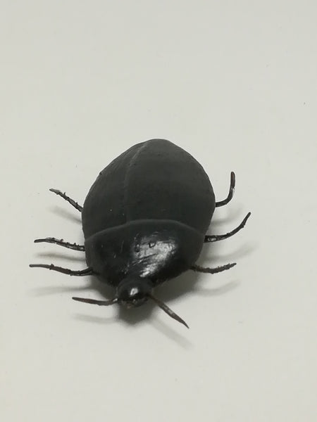 Miniature Black Big Cockroach (Miniature, suitable for printer's tray)
