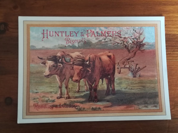 Assorted Postcards and Photos Cows