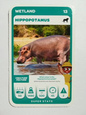 Pick n Pay South African Super Animals (Green) - Card 13 - Hippopotamus