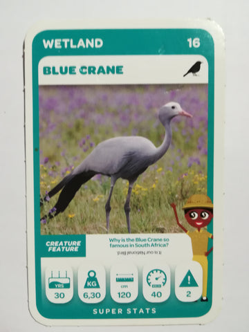 Pick n Pay South African Super Animals (Green) - Card 16 - Blue Crane