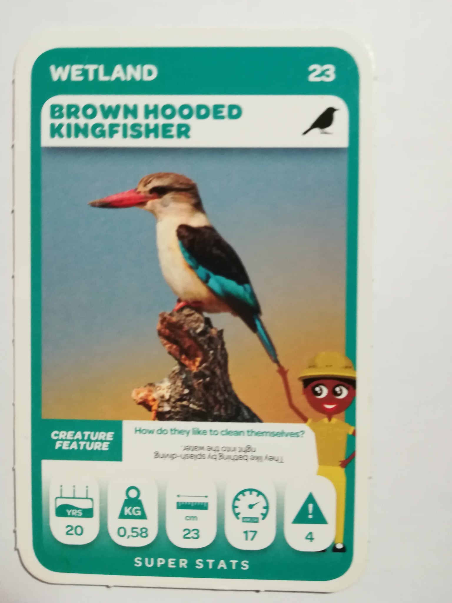 Pick n Pay South African Super Animals (Green) - Card 23 - Brown Hooded Kingfisher