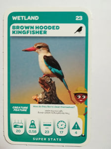 Pick n Pay South African Super Animals (Green) - Card 23 - Brown Hooded Kingfisher