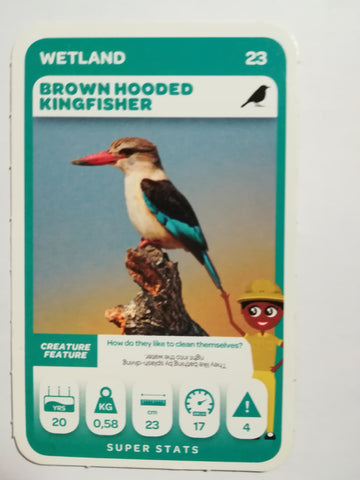 Pick n Pay South African Super Animals (Green) - Card 23 - Brown Hooded Kingfisher