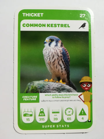 Pick n Pay South African Super Animals (Green) - Card 27 - Common Kestrel