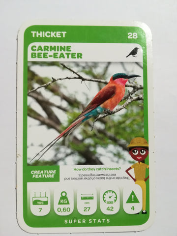 Pick n Pay South African Super Animals (Green) - Card 28 - Carmine Bee-Eater