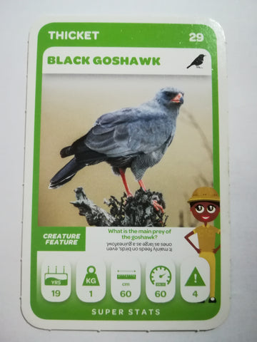 Pick n Pay South African Super Animals (Green) - Card 29 - Black Goshawk
