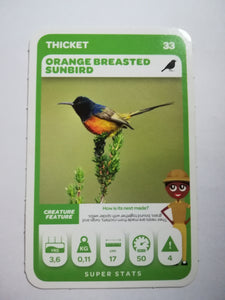 Pick n Pay South African Super Animals (Green) - Card 33 - Orange Breasted Sunbird
