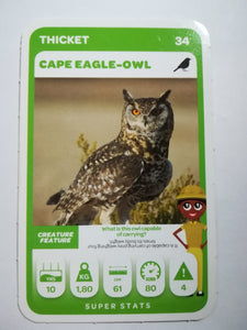 Pick n Pay South African Super Animals (Green) - Card 34 - Cape Eagle-Owl