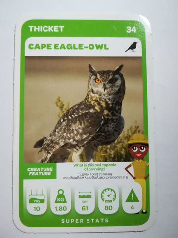 Pick n Pay South African Super Animals (Green) - Card 34 - Cape Eagle-Owl