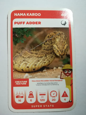 Pick n Pay South African Super Animals (Green) - Card 40 - Puff Adder