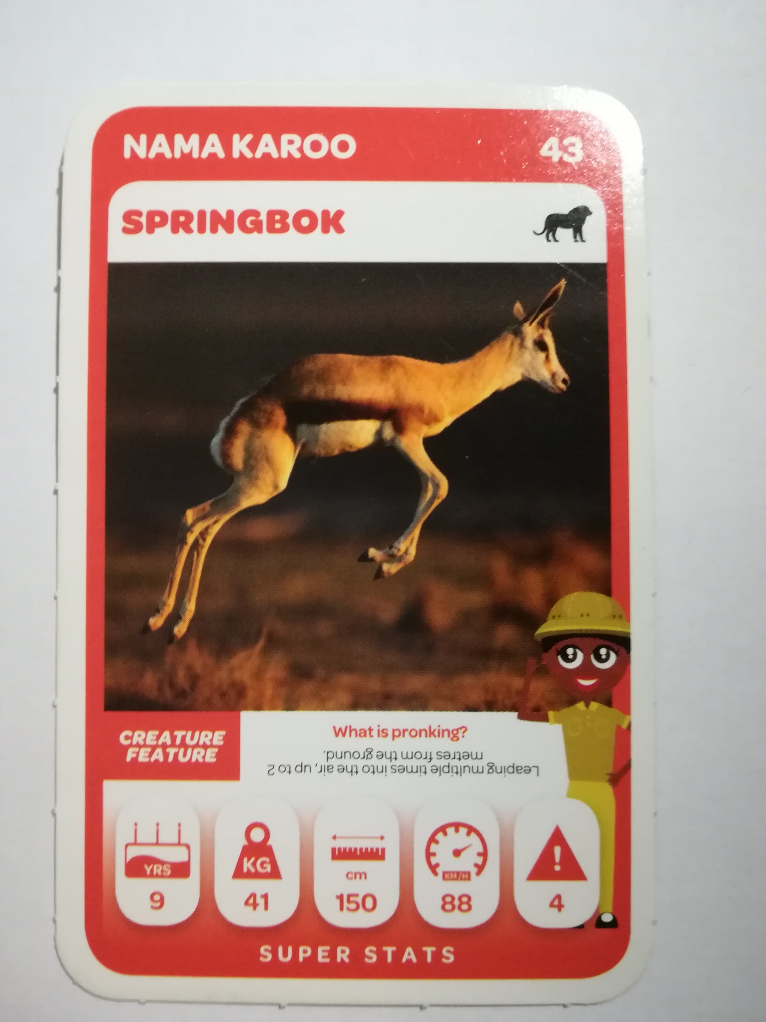 Pick n Pay South African Super Animals (Green) - Card 43 - Springbok