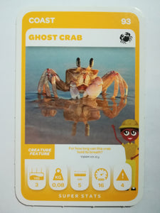 Pick n Pay South African Super Animals (Green) - Card 93 - Ghost Crab