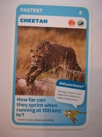 Pick n Pay South African Super Animals (Blue) - Card 2 - Cheetah