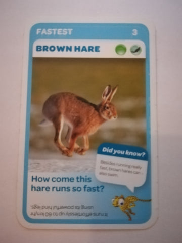 Pick n Pay South African Super Animals (Blue) - Card 3 - Brown Hare