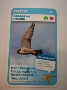 Pick n Pay South African Super Animals (Blue) - Card 5 - Peregrine Falcon