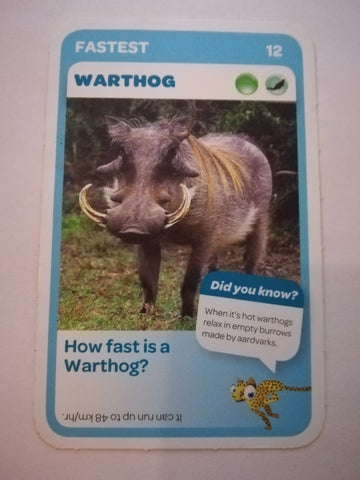 Pick n Pay South African Super Animals (Blue) - Card 12 - Warthog