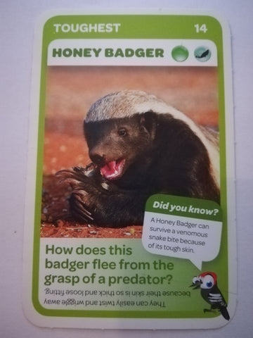 Pick n Pay South African Super Animals (Blue) - Card 14 - Honey Badger
