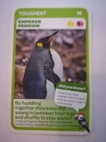 Pick n Pay South African Super Animals (Blue) - Card 16 - Emperor Penguin