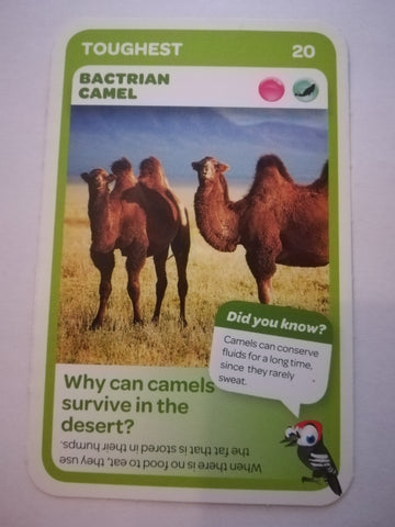 Pick n Pay South African Super Animals (Blue) - Card 20 - Bactrian Camel