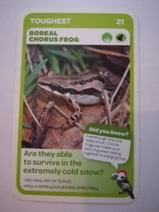Pick n Pay South African Super Animals (Blue) - Card 21 - Boreal Chorus Frog