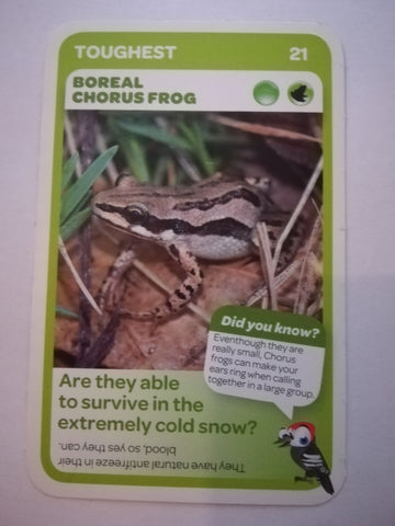 Pick n Pay South African Super Animals (Blue) - Card 21 - Boreal Chorus Frog