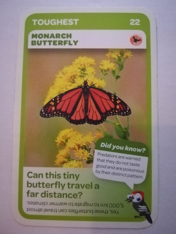 Pick n Pay South African Super Animals (Blue) - Card 22 - Monarch Butterfly