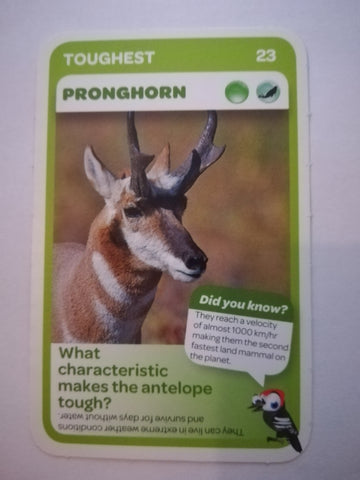Pick n Pay South African Super Animals (Blue) - Card 23 - Pronghorn