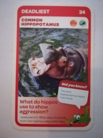 Pick n Pay South African Super Animals (Blue) - Card 34 - Common Hippopotamus