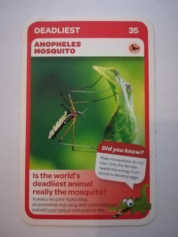 Pick n Pay South African Super Animals (Blue) - Card 35 - Anopheles Mosquito