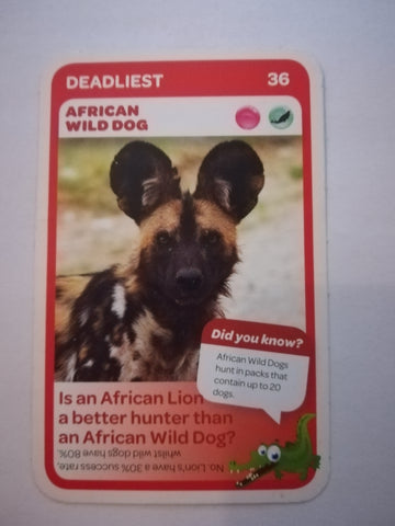 Pick n Pay South African Super Animals (Blue) - Card 36 - African Wild Dog