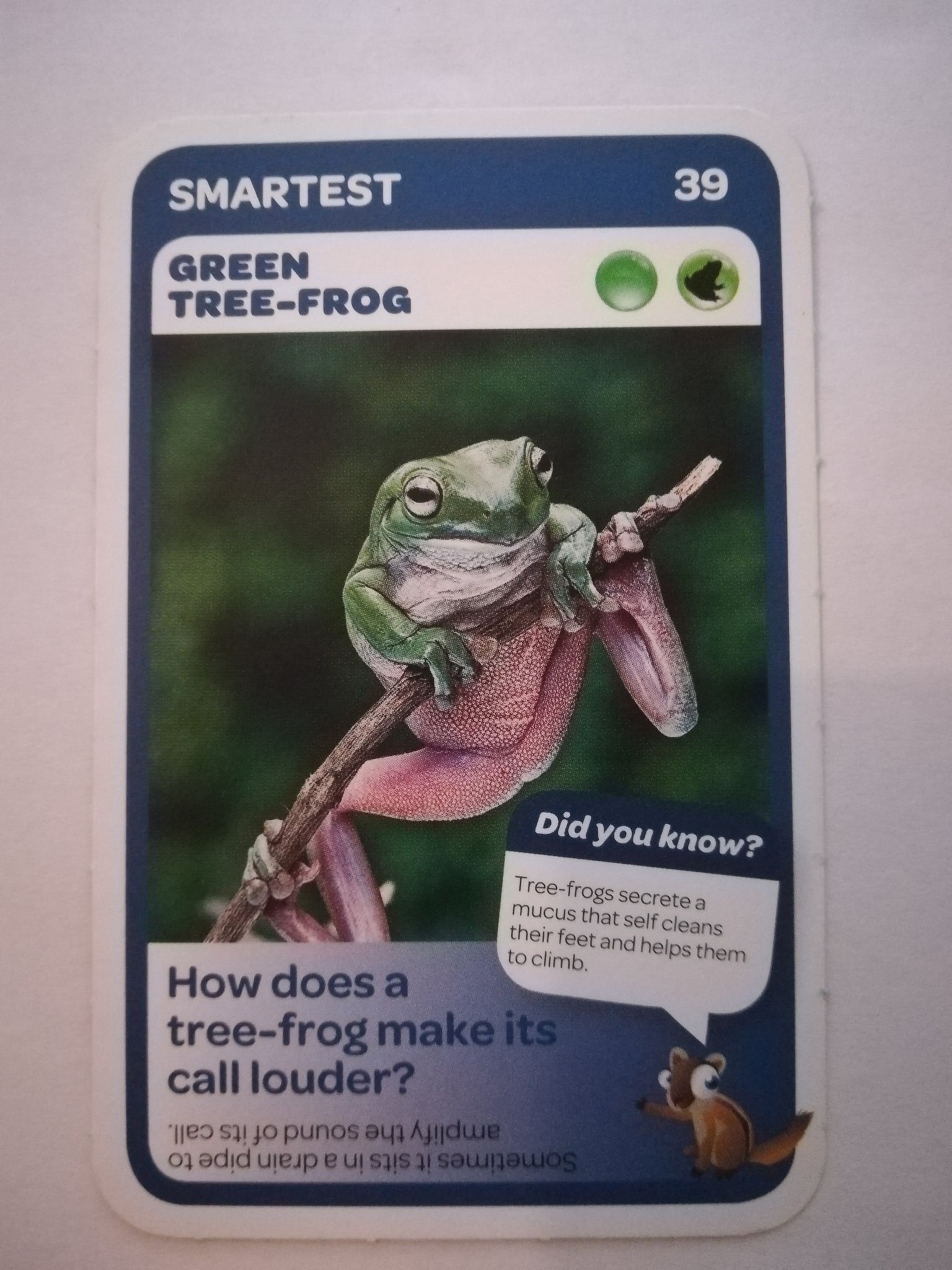 Pick n Pay South African Super Animals (Blue) - Card 39 - Green Tree - Frog