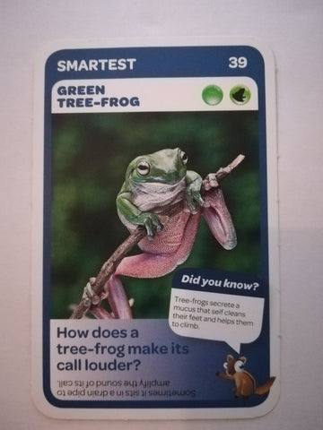 Pick n Pay South African Super Animals (Blue) - Card 39 - Green Tree - Frog