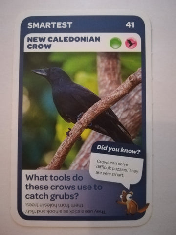 Pick n Pay South African Super Animals (Blue) - Card 41 - New Caledonian Crow