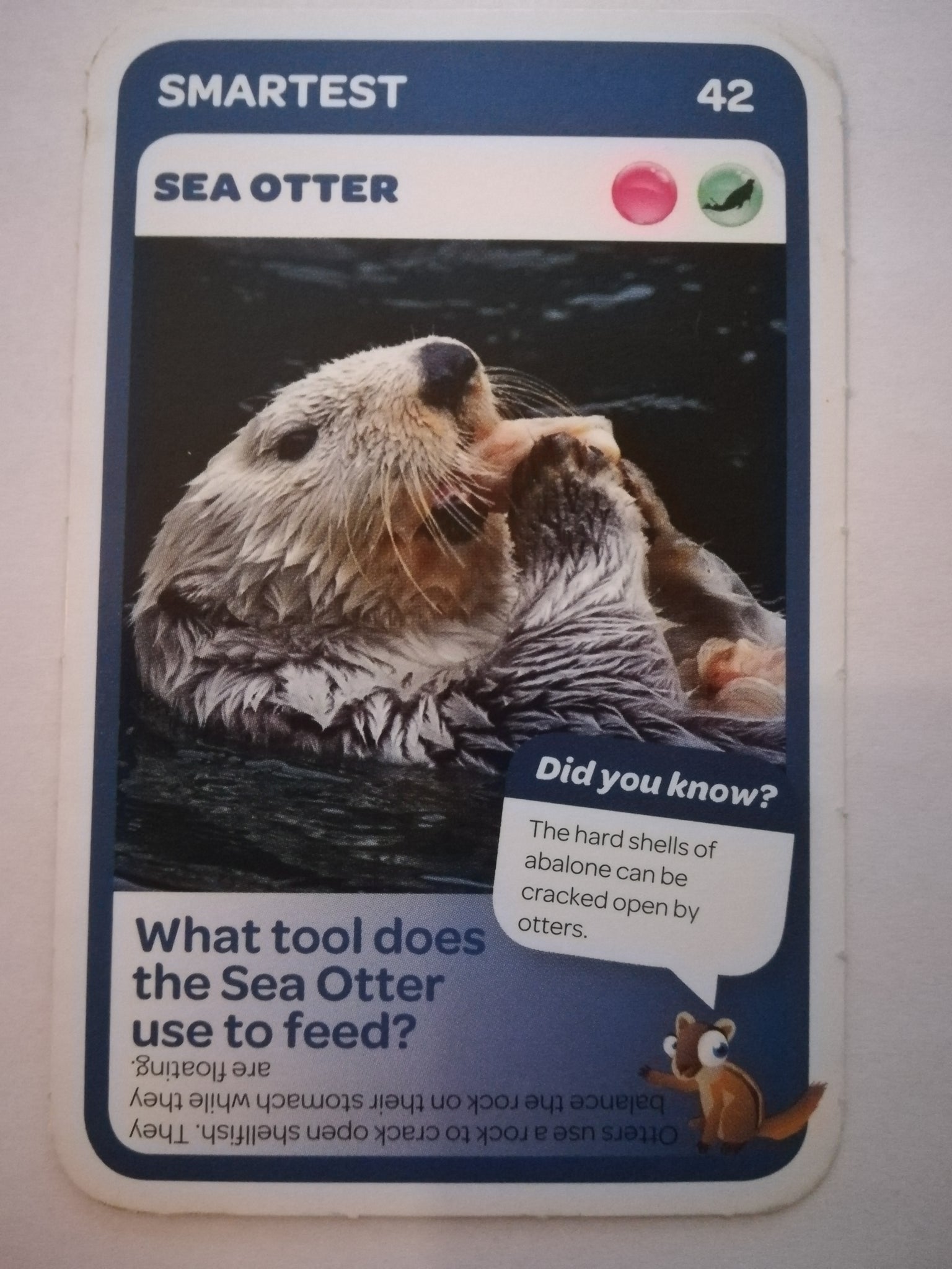 Pick n Pay South African Super Animals (Blue) - Card 42 - Sea Otter