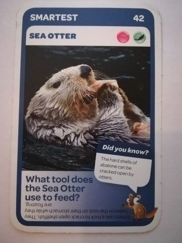 Pick n Pay South African Super Animals (Blue) - Card 42 - Sea Otter