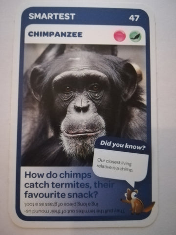 Pick n Pay South African Super Animals (Blue) - Card 47 - Chimpanzee