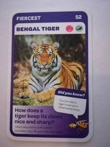 Pick n Pay South African Super Animals (Blue) - Card 52 - Bengal Tiger