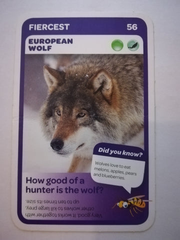 Pick n Pay South African Super Animals (Blue) - Card 56 - European Wolf