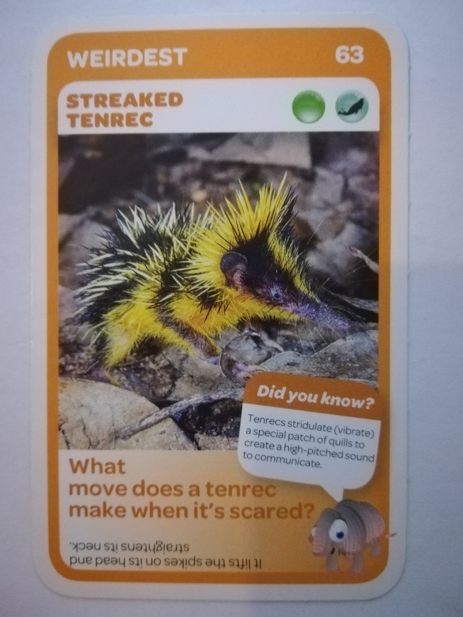 Pick n Pay South African Super Animals (Blue) - Card 63 - Streaked Tenrec