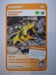 Pick n Pay South African Super Animals (Blue) - Card 63 - Streaked Tenrec
