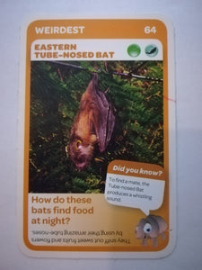 Pick n Pay South African Super Animals (Blue) - Card 64 - Eastern Tube - Nosed Bat