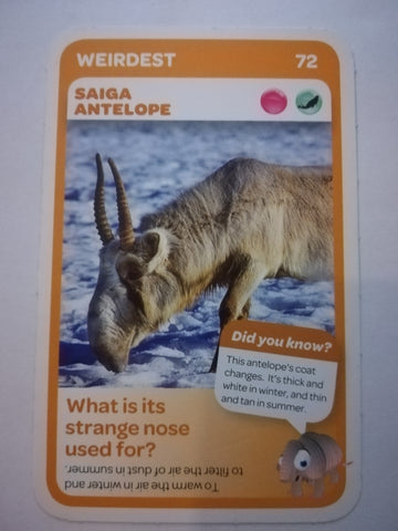 Pick n Pay South African Super Animals (Blue) - Card 72 - Saiga Antelope