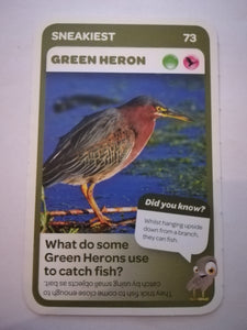 Pick n Pay South African Super Animals (Blue) - Card 73 - Green Heron
